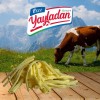 Tel Peyniri 1000 Gr